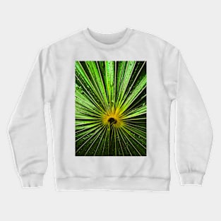 radiation Crewneck Sweatshirt